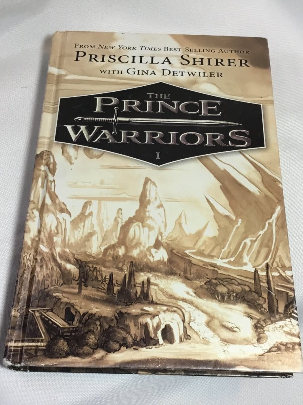 The Prince Warriors Book 1 by Priscilla Shirer & Gina Detwiler 2016 HC